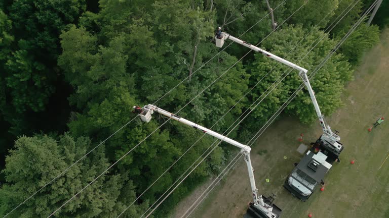 Best Seasonal Cleanup (Spring/Fall)  in Dublin, PA